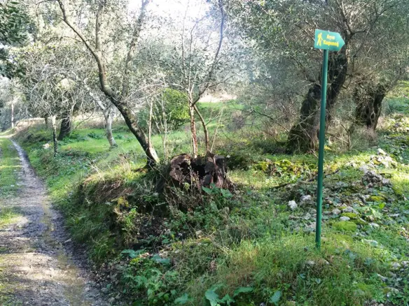 Land In Corfu, Greece (3.315 M²)