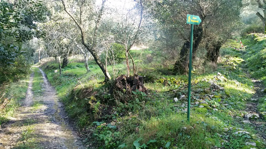 Land Of 3315 M² In Corfu
