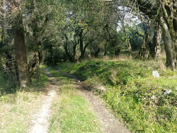 Land Of 3315 M² In Corfu