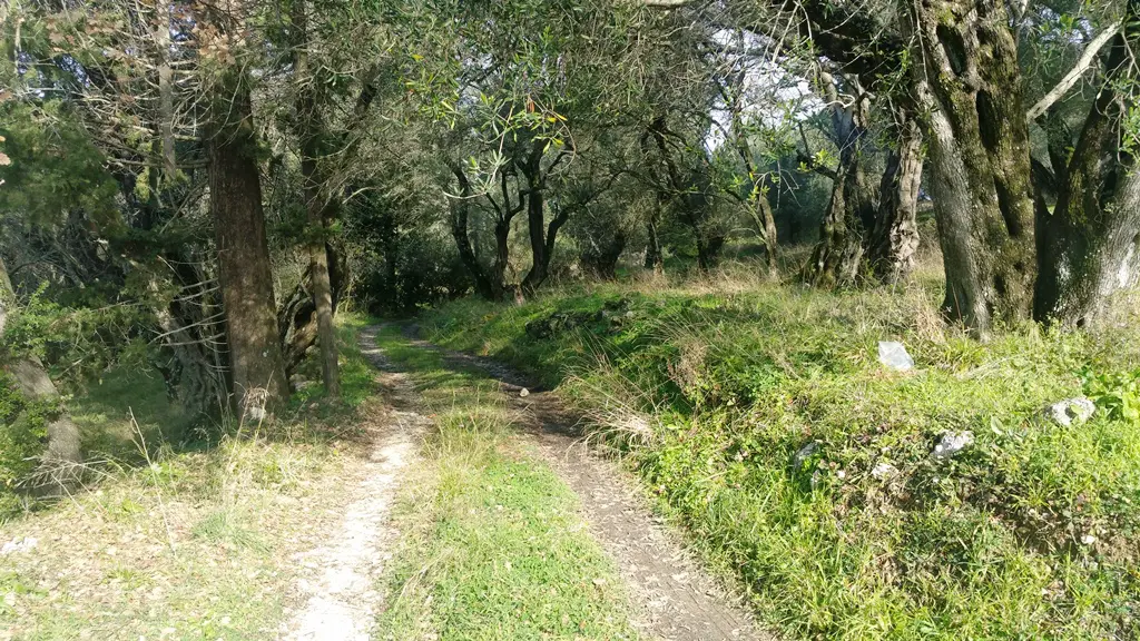 Land Of 3315 M² In Corfu