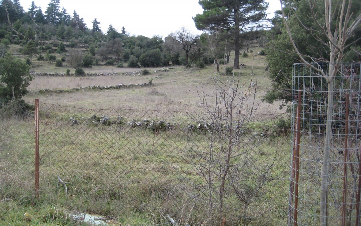 Vytina Village , Peloponnese