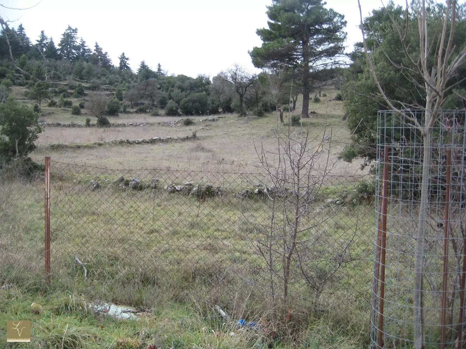 3Land view from the street Vytina Village , Peloponnese