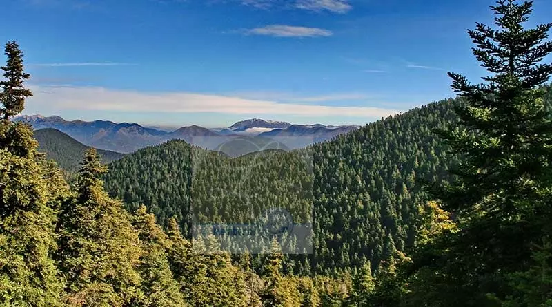 mainalo_forest Vytina Village , Peloponnese