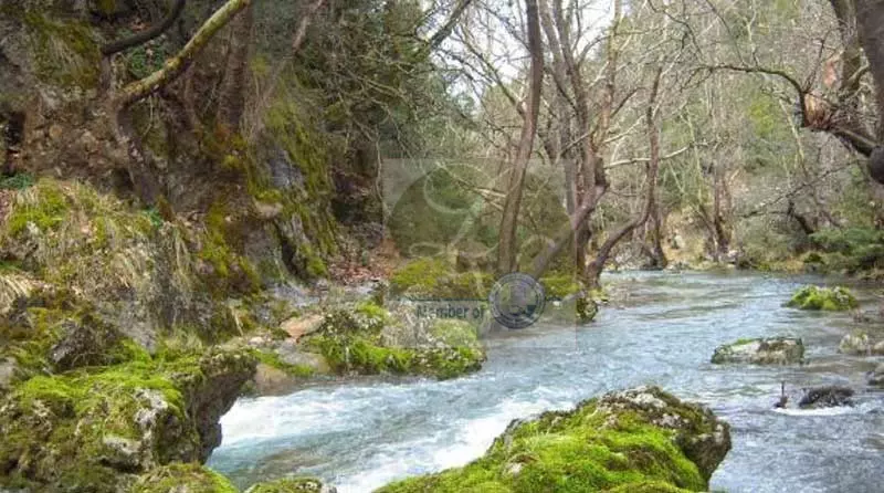 milaontas Vytina Village , Peloponnese