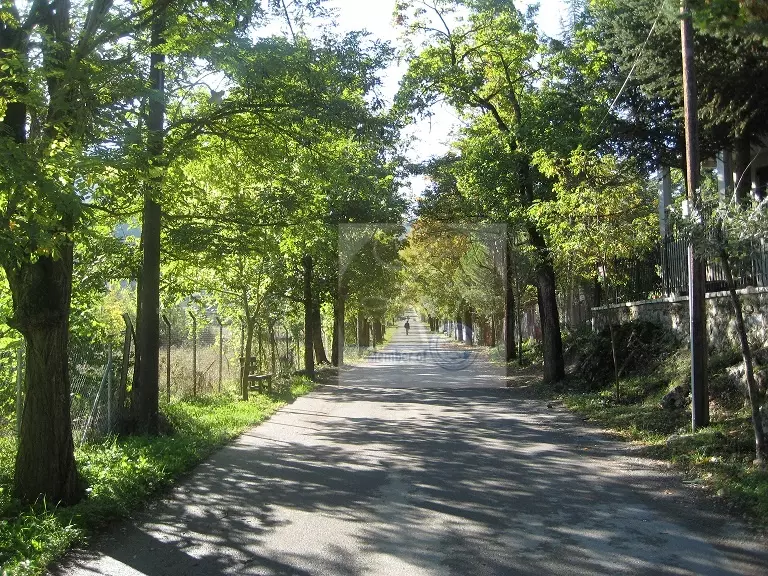 Δρομος Αγαπης Vytina Village , Peloponnese