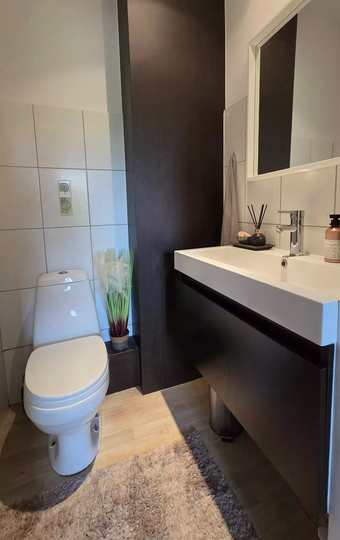 Spacious Family Home With Large Private Grounds Near Cēsis, Latvia