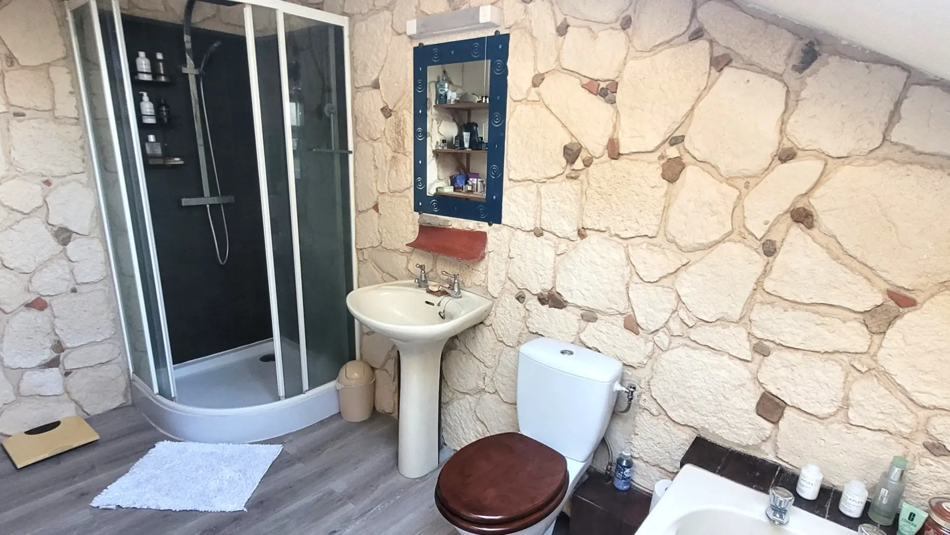 Property Of 4 Gîtes Complex With 3 Bedrooms Owner’s House In Lakes Of Haute Charente
