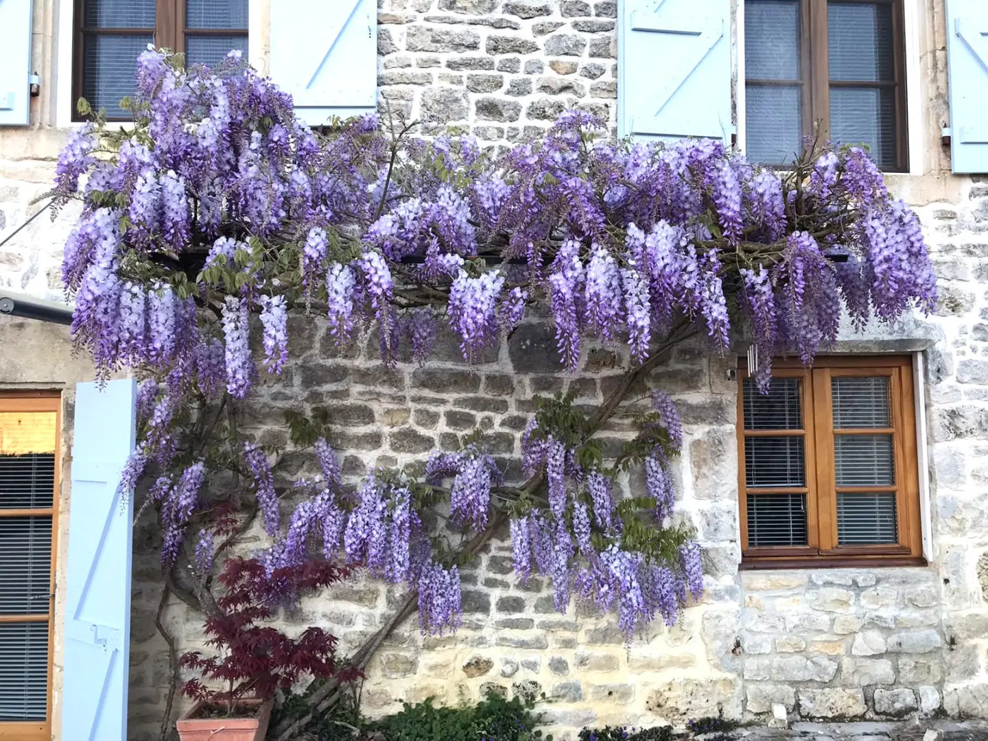 Detached Village House Of 0 M² With Views And Country Gardens In Verteuil