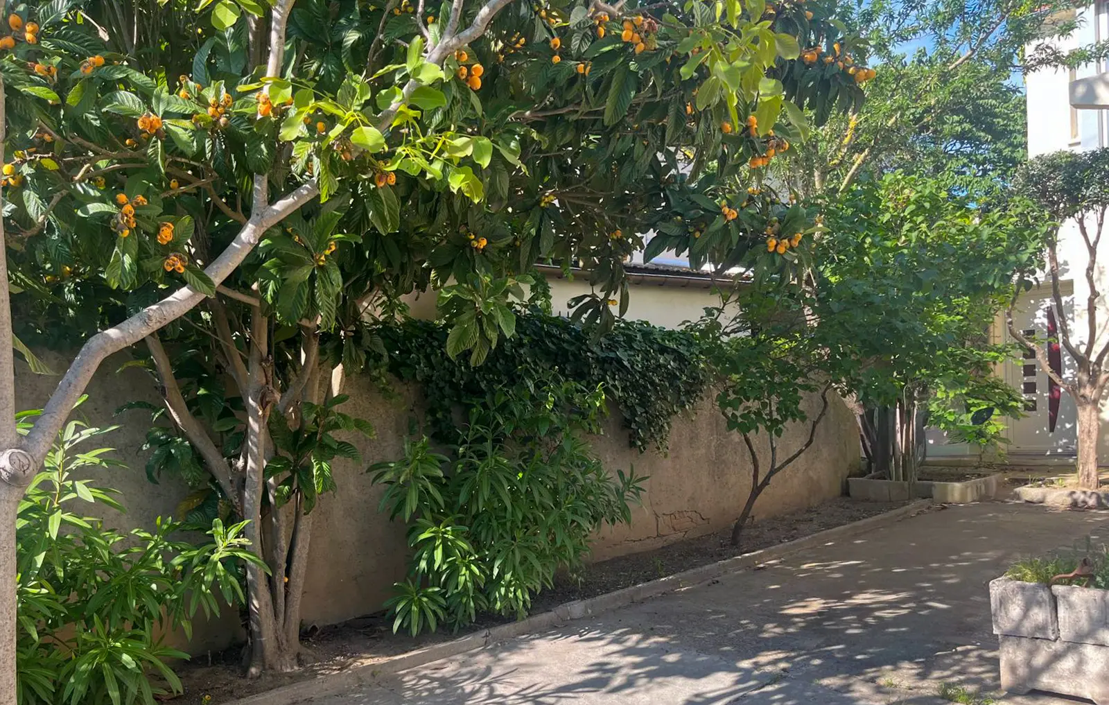 Townhouse Of 6 Bedrooms With Panoramic Views Of Carcassonne Castle In Carcassonne