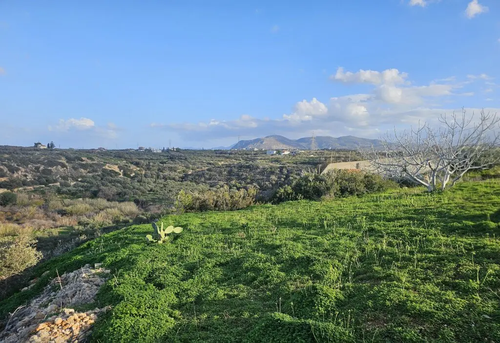 Detached House Of 60 M² In Crete