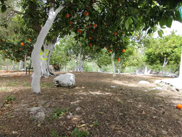 Detached House 200 M² Located In Corfu