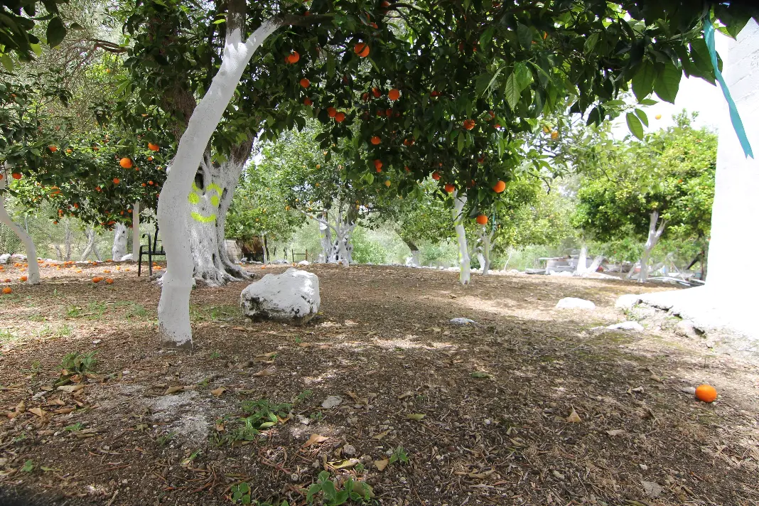 Detached House 200 M² Located In Corfu