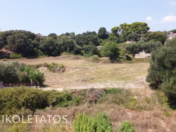 Land Of 1000 M² In Spartia, Greece