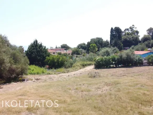 Land Of 1000 M² In Spartia, Greece