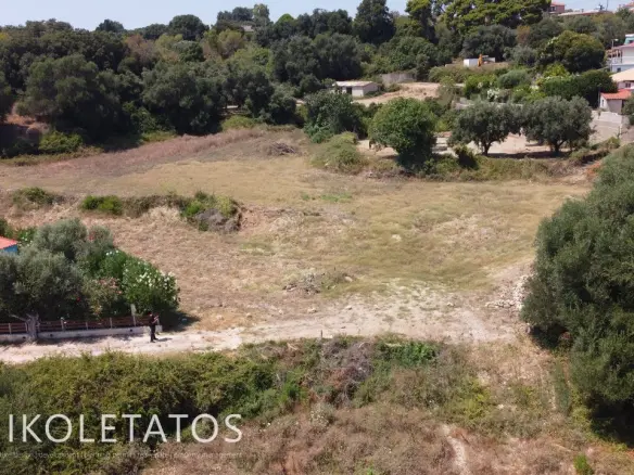 Land Of 1000 M² In Spartia, Greece