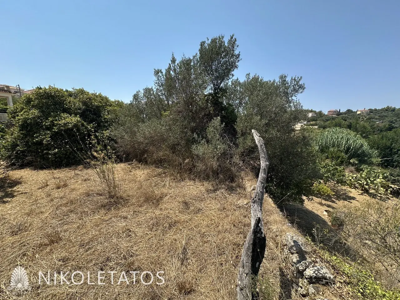 Land Of 1000 M² In Lakithra, Greece