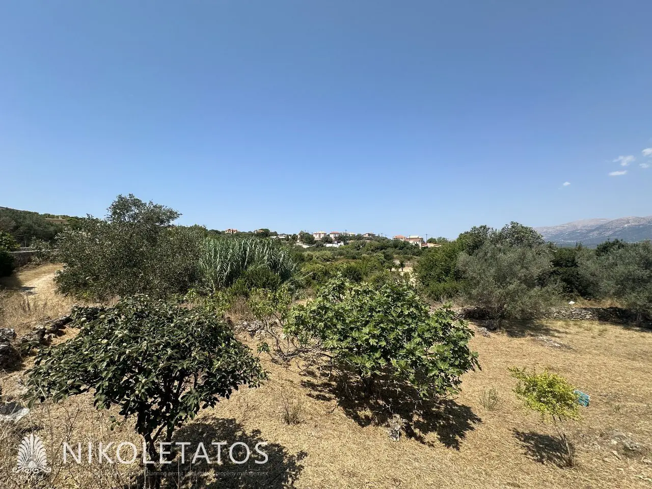 Land Of 1000 M² In Lakithra, Greece