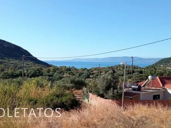 Land Of 3000 M² In Katelios, Greece