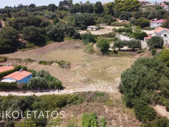 Land Of 1000 M² In Spartia, Greece