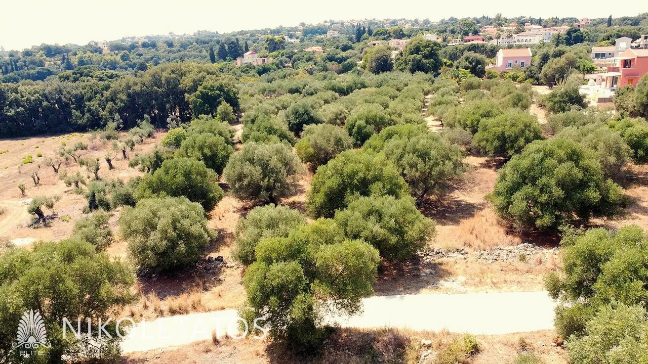 Land Of X M² In Pessada, Greece