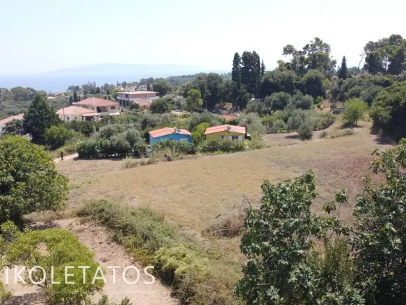 Land Of 1000 M² In Spartia, Greece