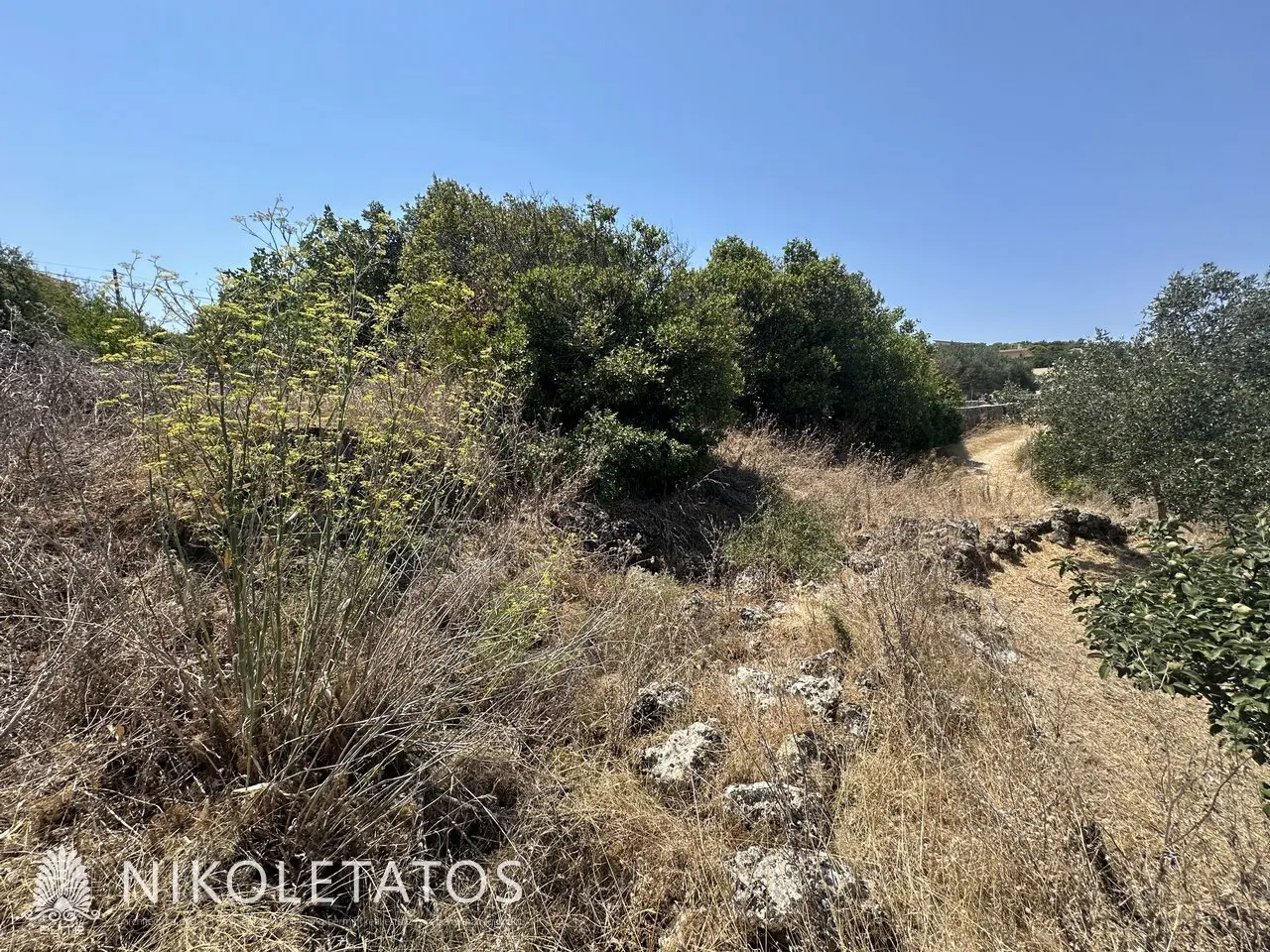 Land Of 1000 M² In Lakithra, Greece