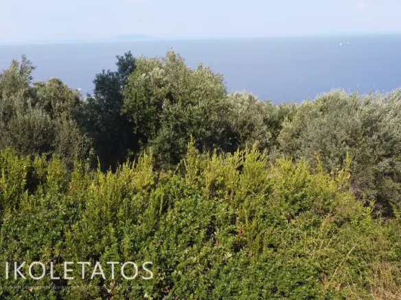 Land Of X In Poros, Greece