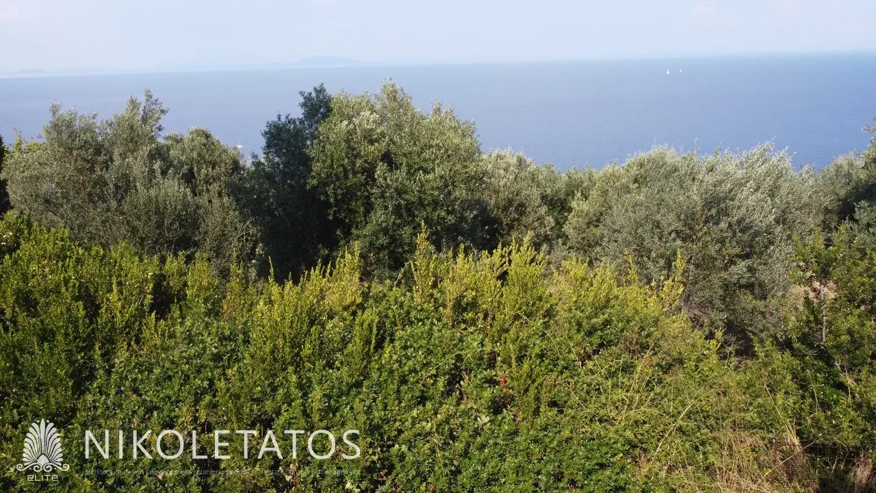 Land Of X M² In Poros, Greece