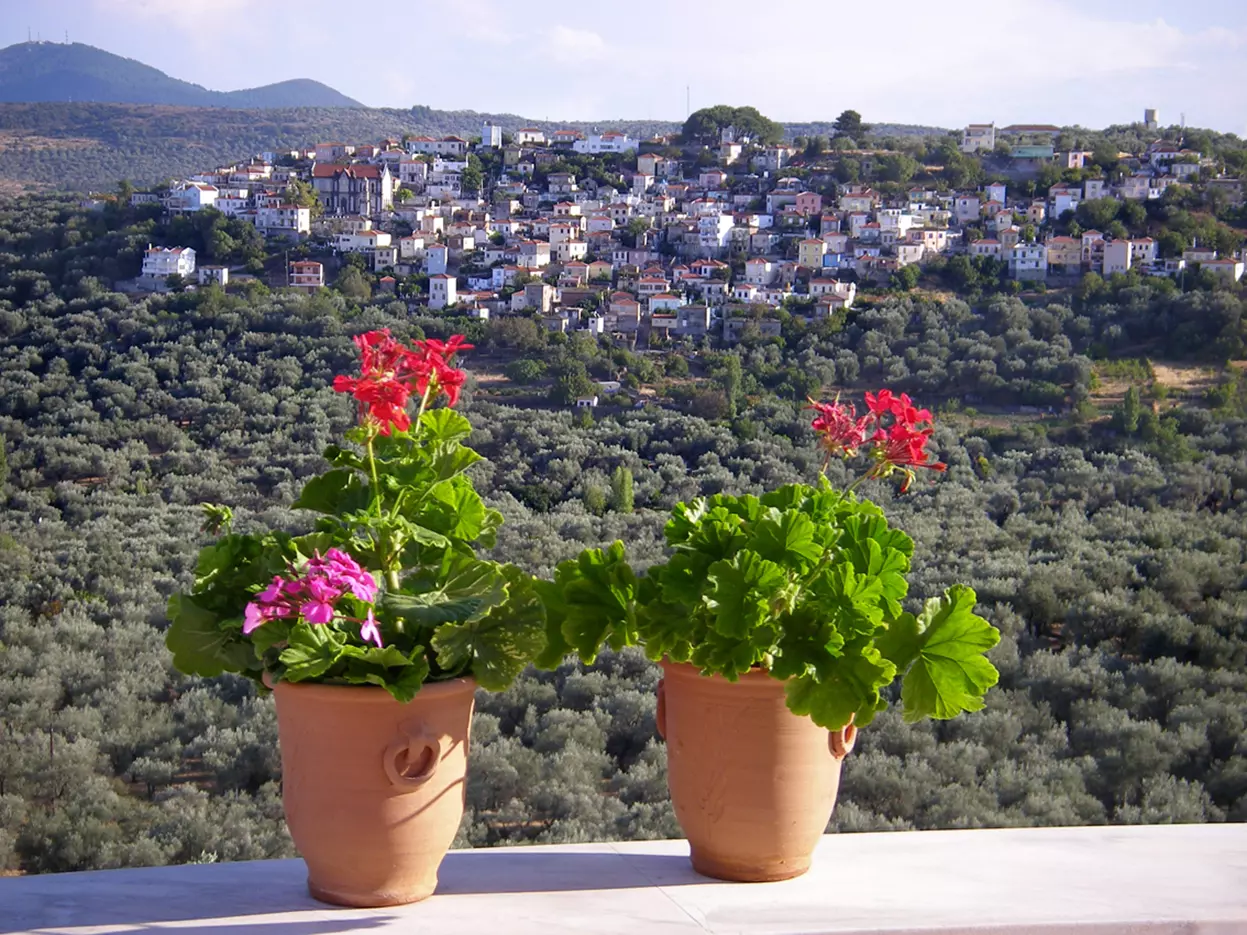 Villa Of 400 M² With Sea View In Lesvos