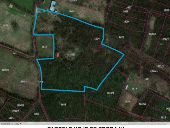 Construction Land Of 12800 M² With Gf+2+attic Allowed In Jagodina (Đurđevo Brdo), Serbia