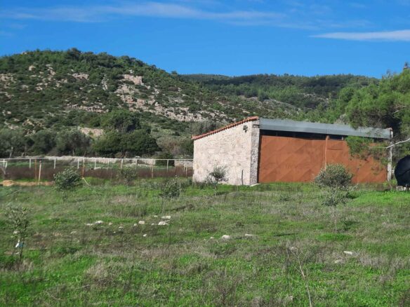 Equestrian Estate Of 119 M² With 20,000 M² Of Land And Olive Grove On Lesvos Island, Greece