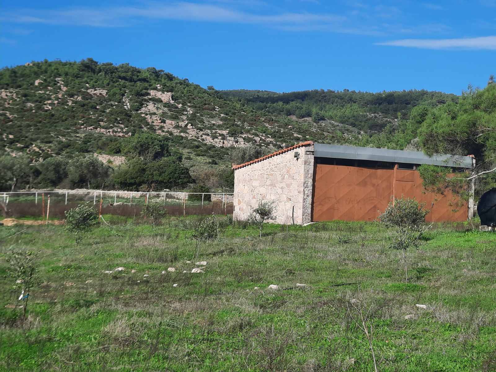 Equestrian Estate Of 119 M² With 20,000 M² Of Land And Olive Grove On Lesvos Island, Greece
