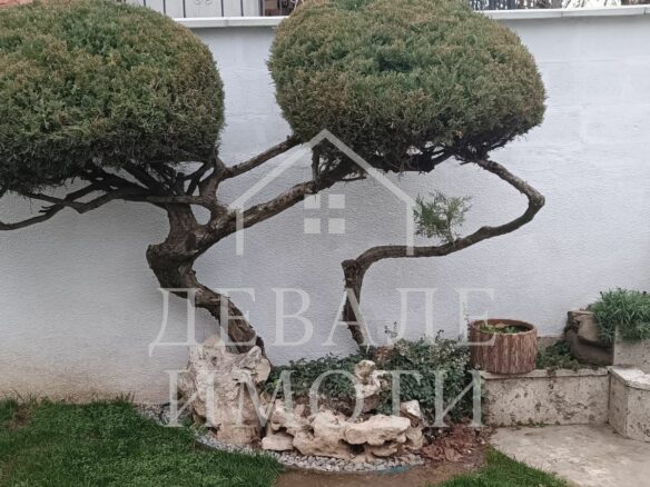 House Of 231 M² With Garage In Solid Two-storey