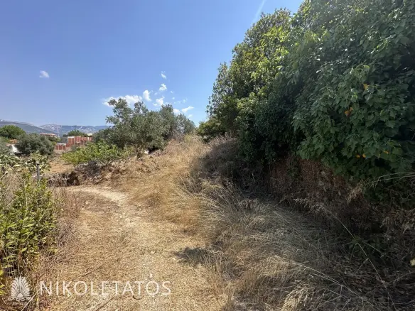 Land Of 3000 M² In Lakithra, Greece