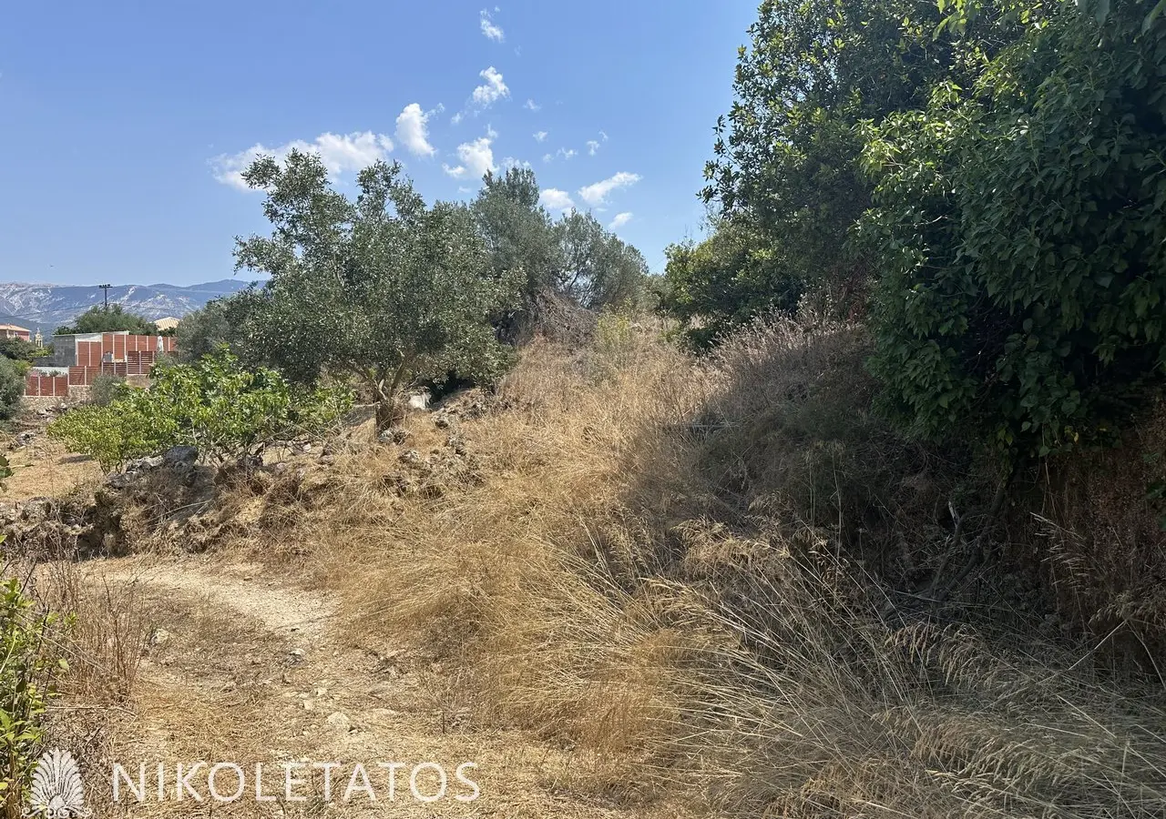 Land Of 3000 M² In Lakithra, Greece