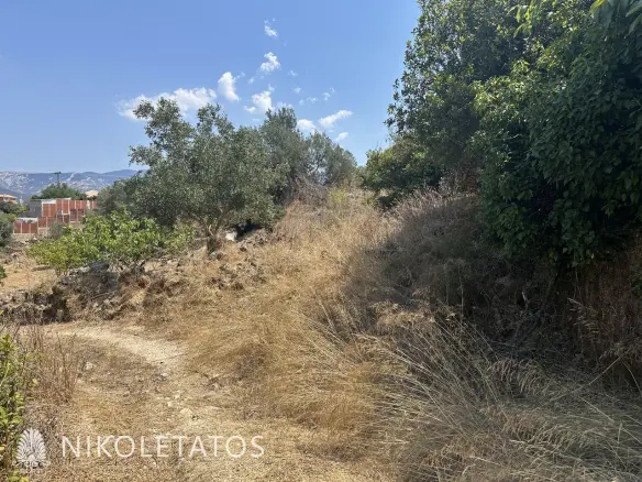 Land Of 3000 M² In Lakithra, Greece