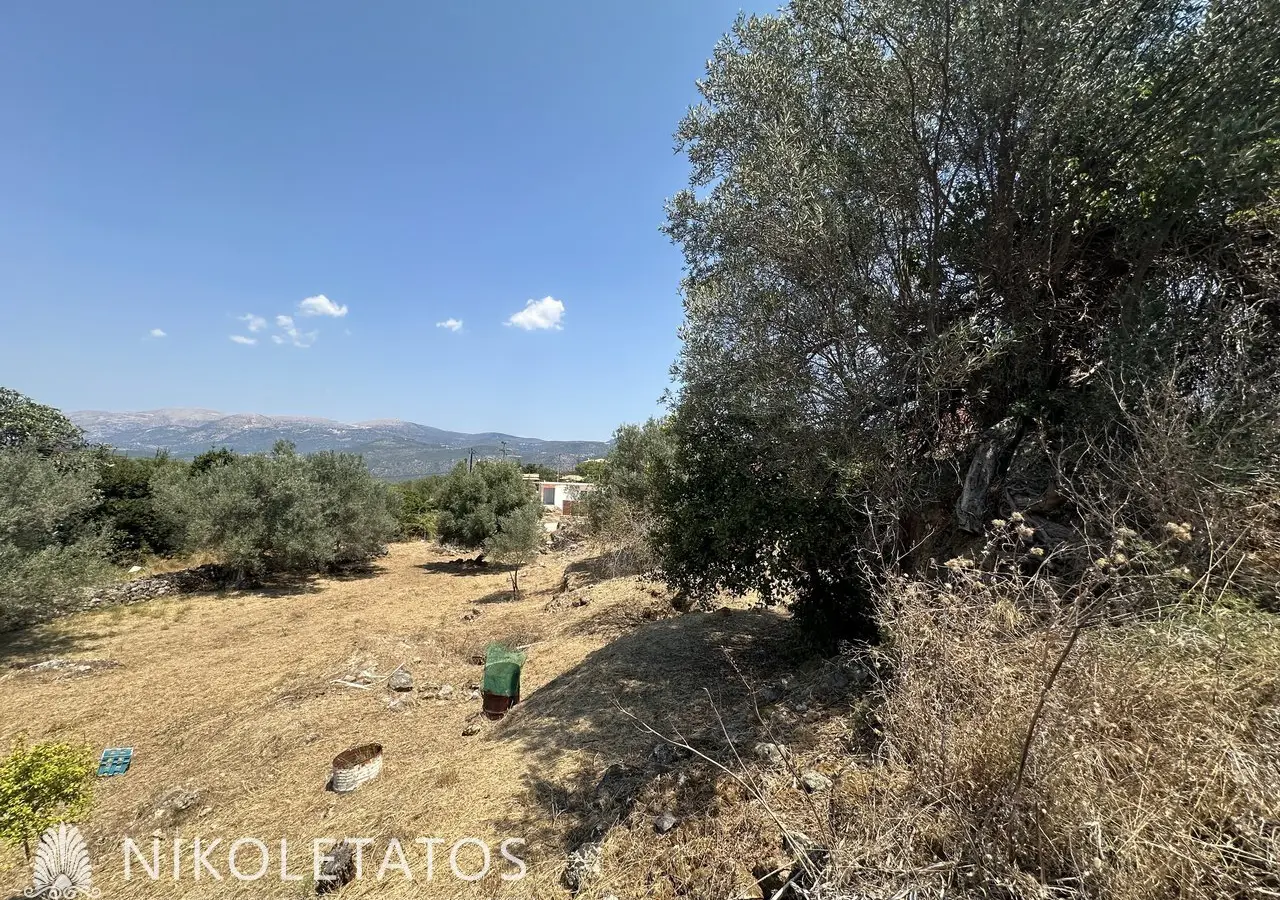 Land Of 3000 M² In Lakithra, Greece