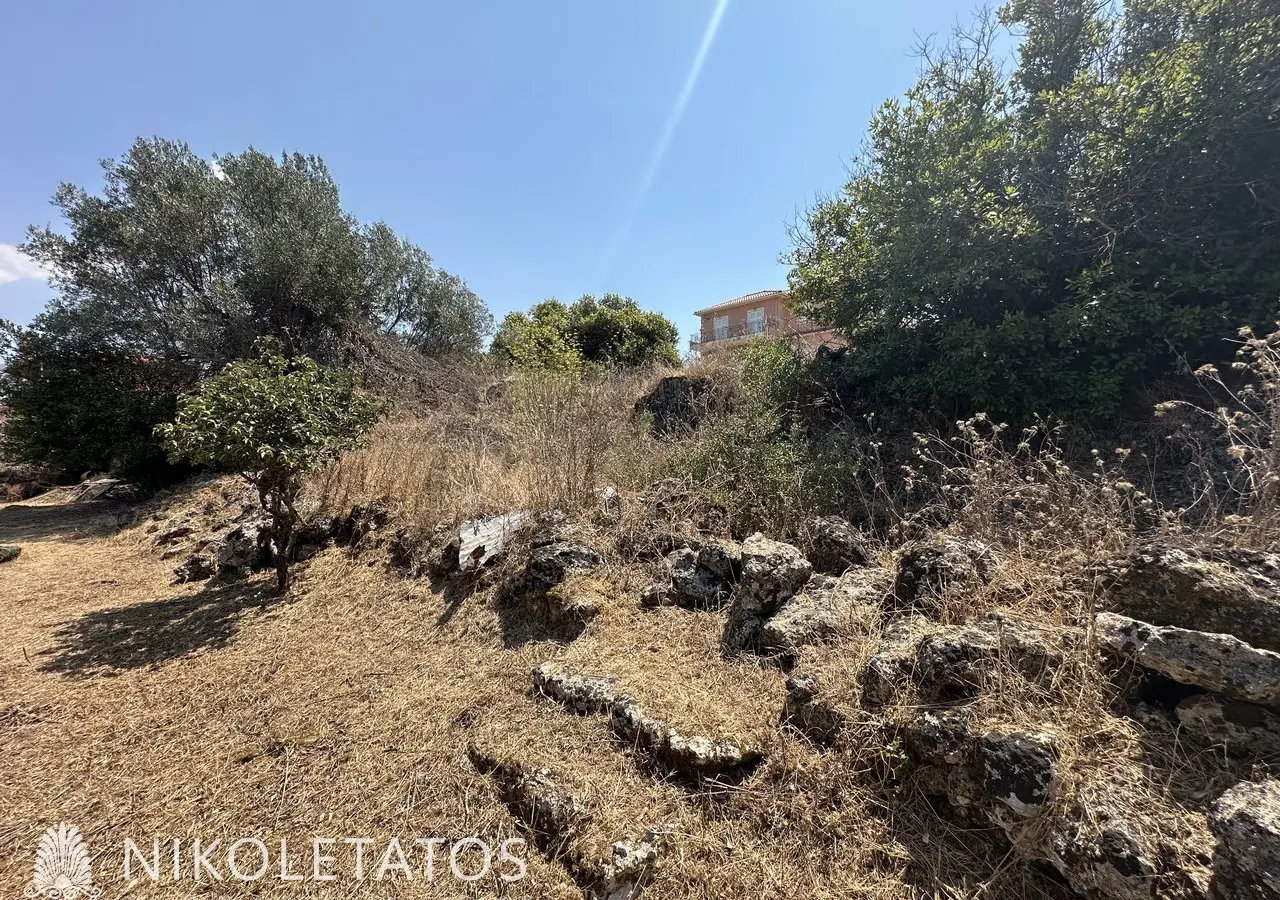 Land Of 3000 M² In Lakithra, Greece