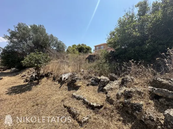 Land Of 3000 M² In Lakithra, Greece