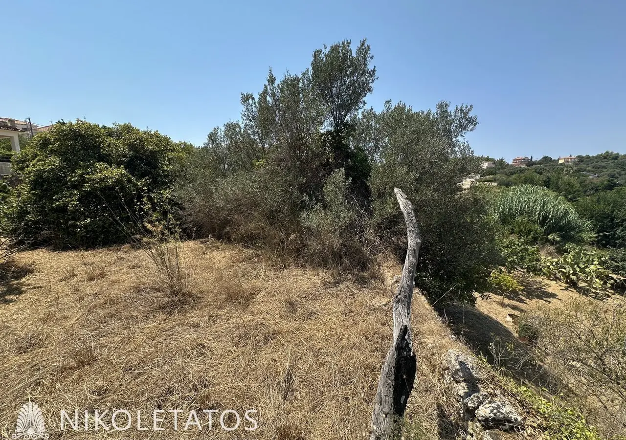 Land Of 3000 M² In Lakithra, Greece