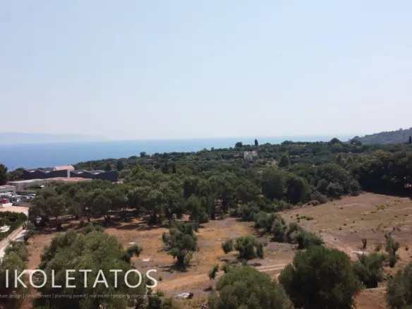 Land Of 1000 M² In Pessada, Greece