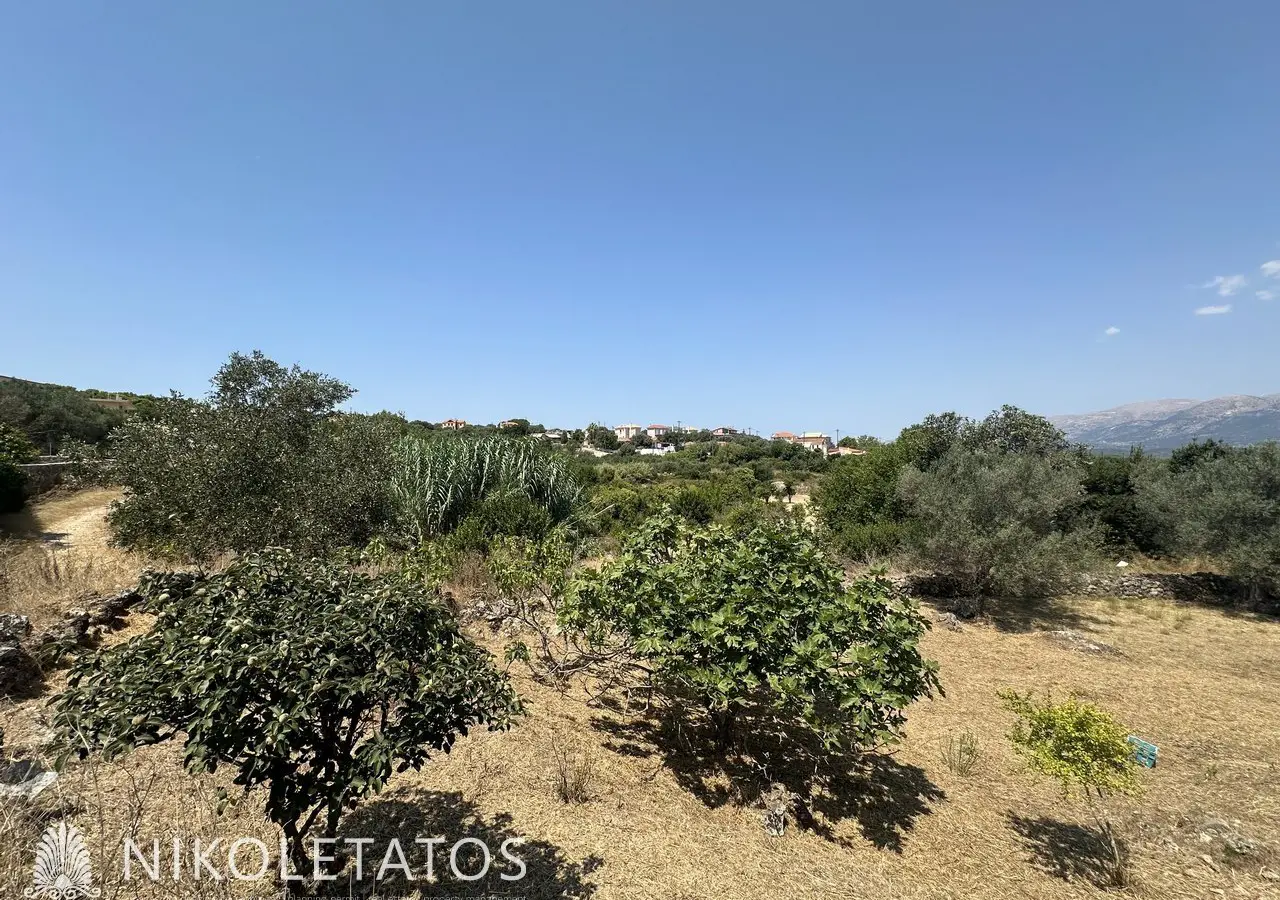 Land Of 3000 M² In Lakithra, Greece