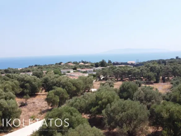 Land Of 1000 M² In Pessada, Greece