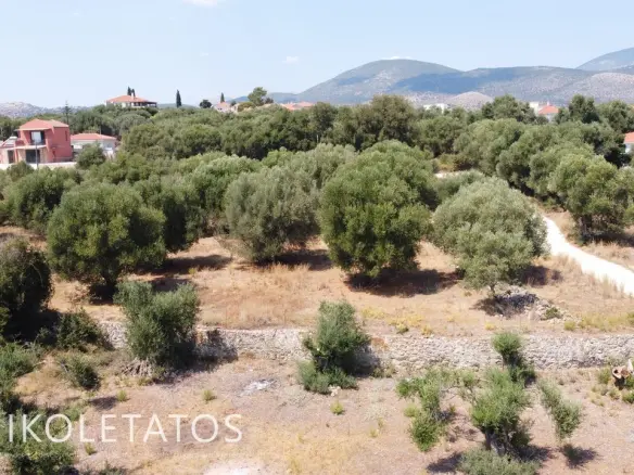 Land Of 1000 M² In Pessada, Greece