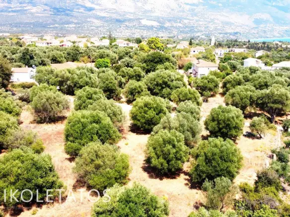 Land Of 1000 M² In Pessada, Greece