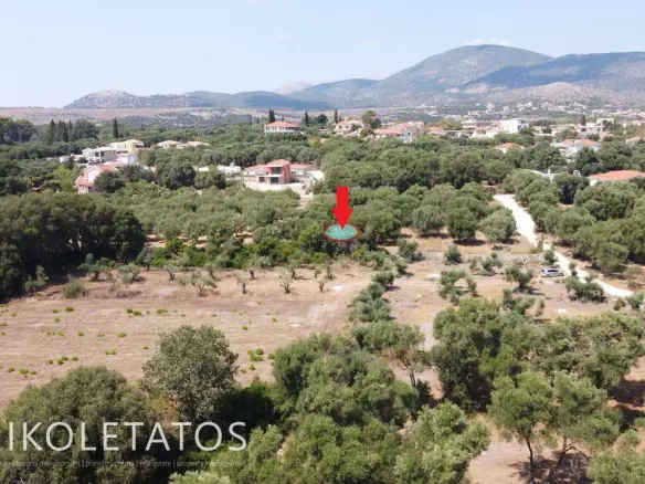 Land Of 1000 M² In Pessada, Greece