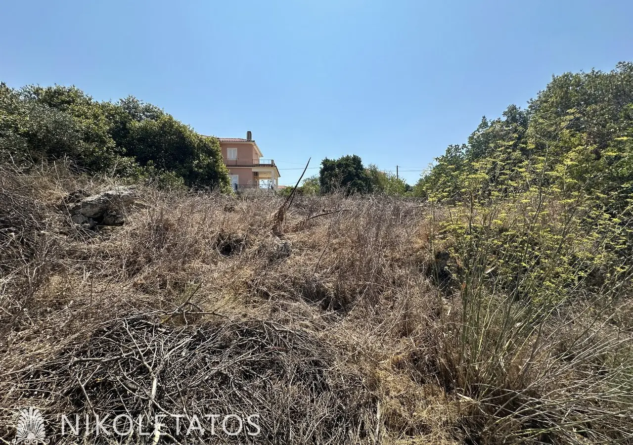 Land Of 3000 M² In Lakithra, Greece