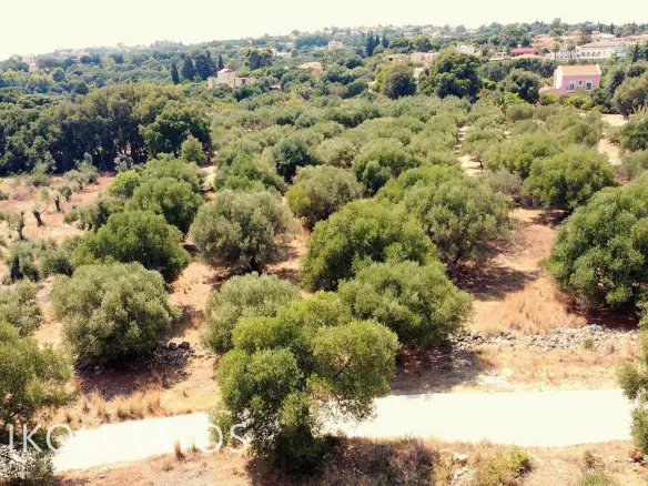 Land Of 1000 M² In Pessada, Greece