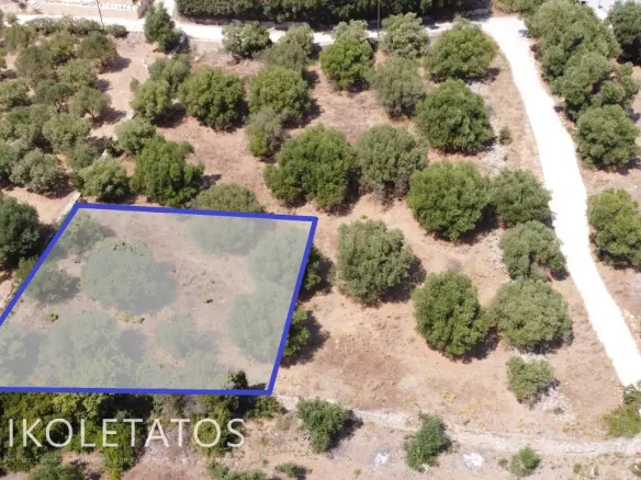 Land Of 1000 M² In Pessada, Greece