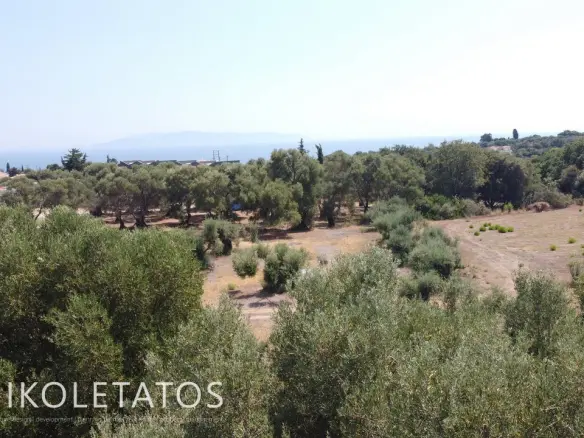 Land Of 1000 M² In Pessada, Greece